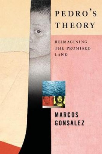 Picture of Pedro's Theory