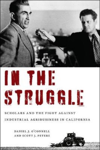 Picture of In the Struggle