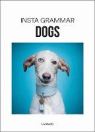Picture of Insta Grammar Dogs
