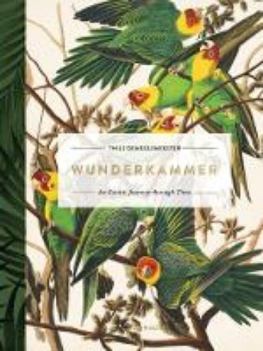 Picture of Wunderkammer