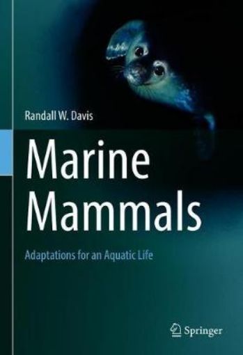 Picture of Marine Mammals