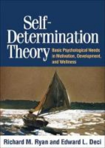 Picture of Self-Determination Theory