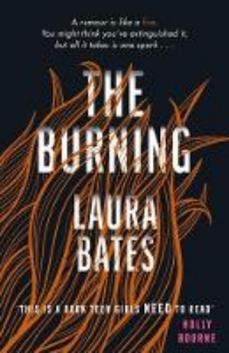 Picture of Burning