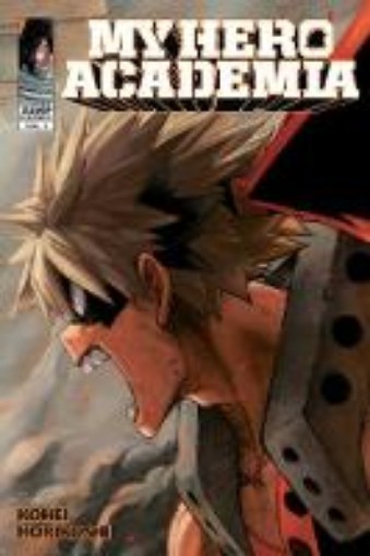 Picture of My Hero Academia, Vol. 7