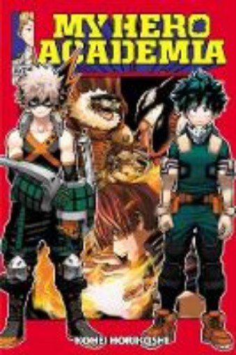 Picture of My Hero Academia, Vol. 13