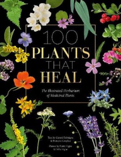 Picture of 100 Plants that Heal
