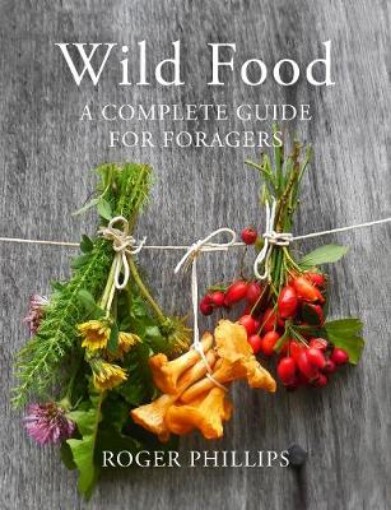 Picture of Wild Food