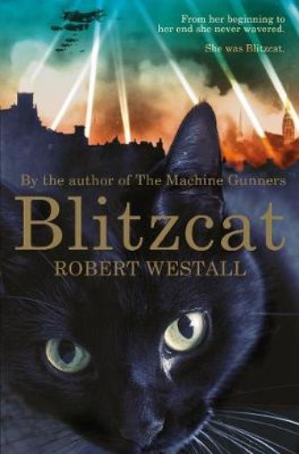 Picture of Blitzcat
