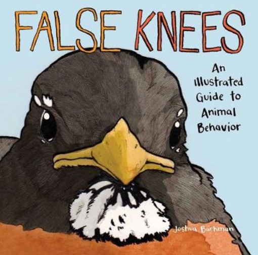 Picture of False Knees
