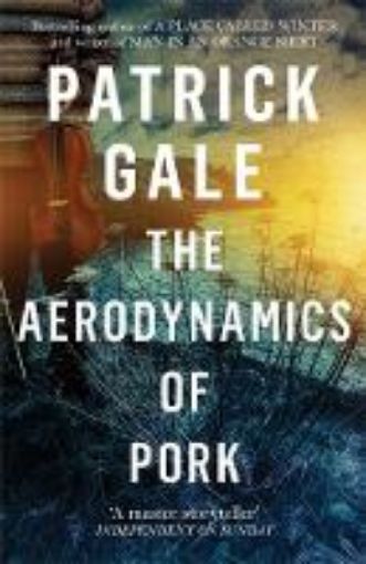 Picture of Aerodynamics of Pork