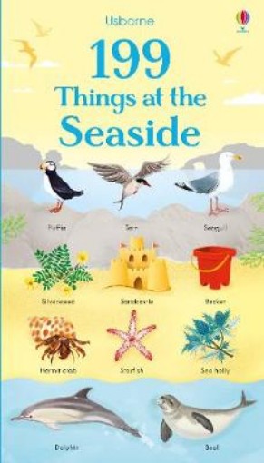 Picture of 199 Things at the Seaside
