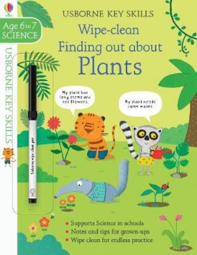 Picture of Wipe-Clean Finding out about Plants 6-7