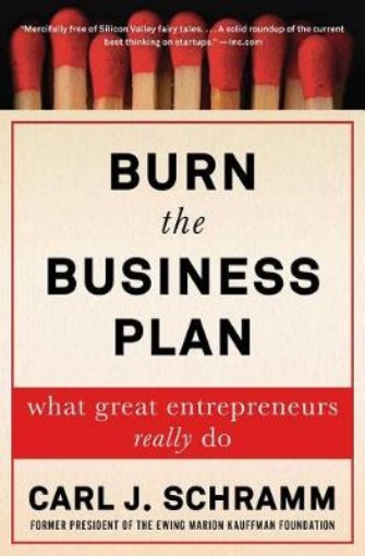 Picture of Burn the Business Plan