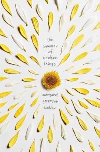 Picture of Summer of Broken Things