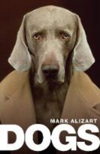 Picture of Dogs: A philosophical guide to our best friends