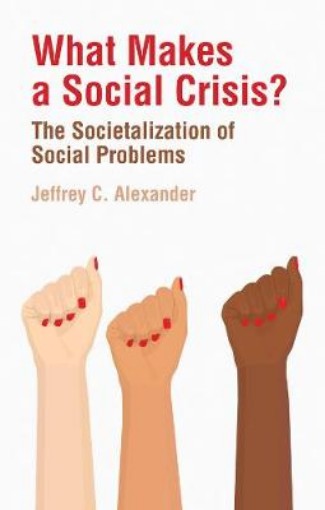 Picture of What Makes a Social Crisis? - The Societalization Of Social Problems