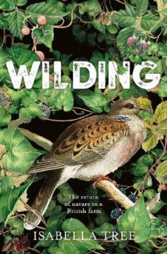 Picture of Wilding