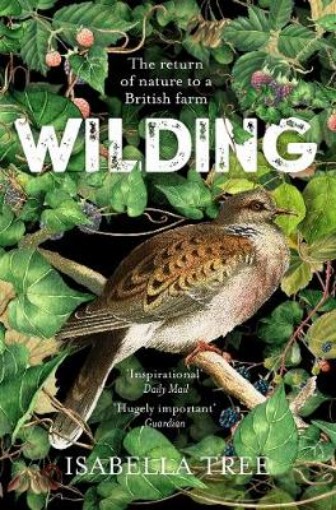 Picture of Wilding