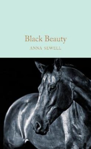Picture of Black Beauty