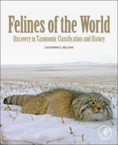 Picture of Felines of the World