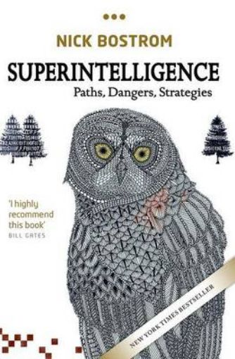 Picture of Superintelligence