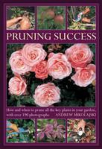 Picture of Pruning Success