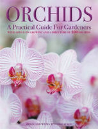 Picture of Orchids