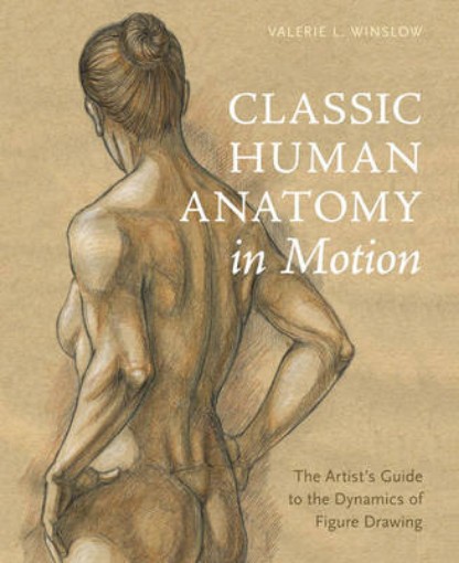 Picture of Classic Human Anatomy in Motion