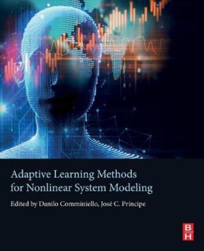 Picture of Adaptive Learning Methods for Nonlinear System Modeling