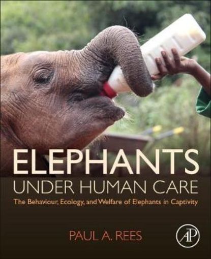 Picture of Elephants Under Human Care
