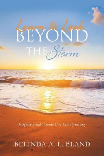 Picture of Learn to Look Beyond The Storm
