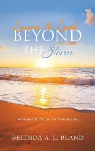 Picture of Learn to Look Beyond The Storm