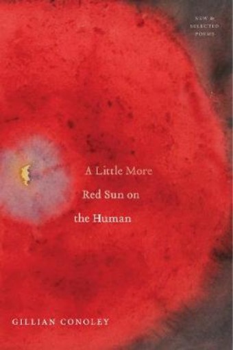 Picture of Little More Red Sun on the Human