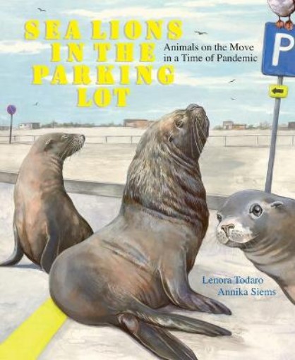 Picture of Sea Lions in the Parking Lot