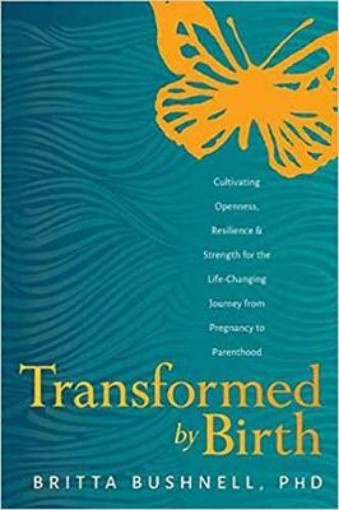 Picture of Transformed by Birth