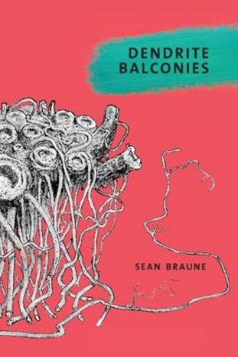 Picture of Dendrite Balconies
