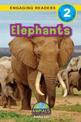 Picture of Elephants