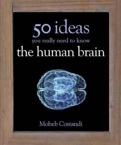 Picture of 50 Human Brain Ideas You Really Need to Know
