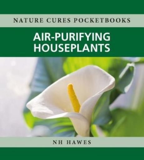Picture of Air-Purifying Houseplants