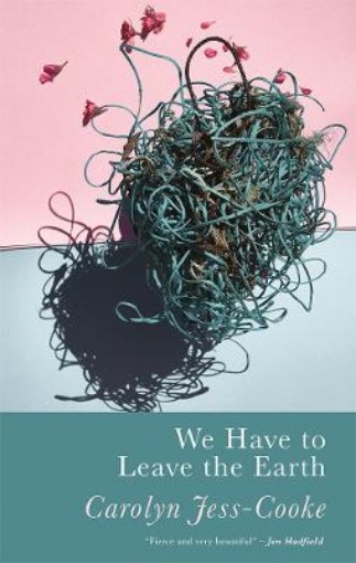 Picture of We Have To Leave The Earth