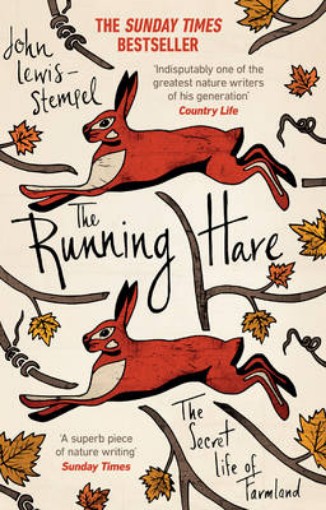Picture of Running Hare