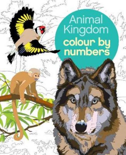 Picture of Animal Kingdom Colour by Numbers
