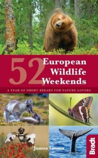 Picture of 52 European Wildlife Weekends