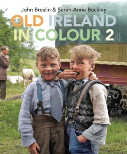 Picture of Old Ireland in Colour 2