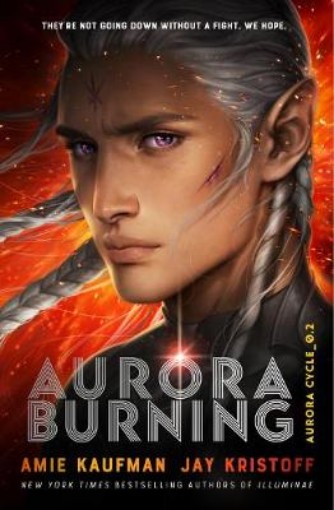 Picture of Aurora Burning