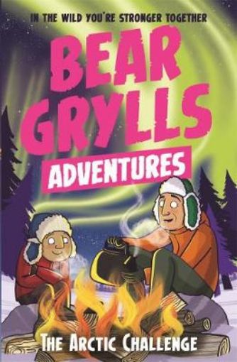 Picture of Bear Grylls Adventure 11: The Arctic Challenge