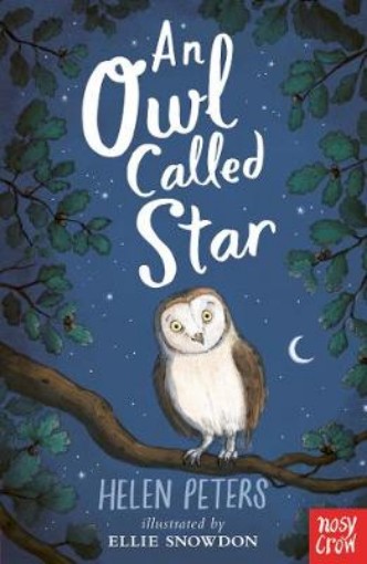 Picture of Owl Called Star