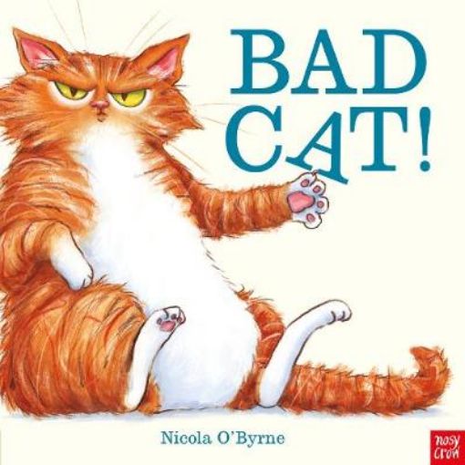 Picture of Bad Cat!