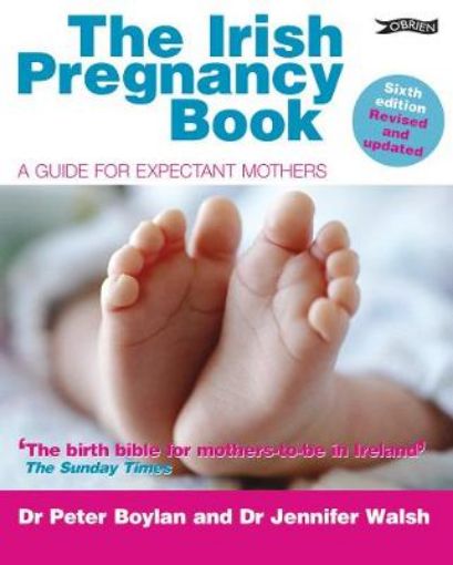Picture of Irish Pregnancy Book