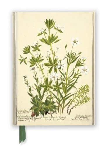 Picture of RBGE: Charlotte Cowan Pearson: Stitchworts, Woodruff and Pepperwort (Foiled Journal)